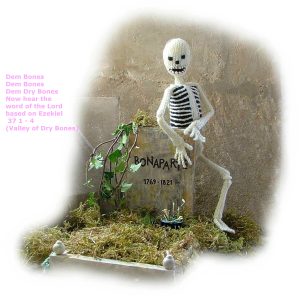 BONAPARTE SKELETON toy knitting pattern